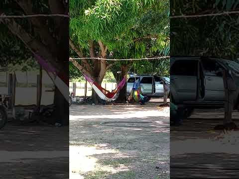 Don CHICHO ROQUE Descansando relax parte2 en Arismendi estado Barinas Venezuela