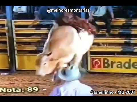 Renato Nunes Rosa x Mobidick - Rodeio de Carneirinho 2001