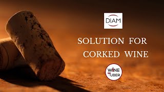 How does Diam cork work What is corked wine | @WineTuber