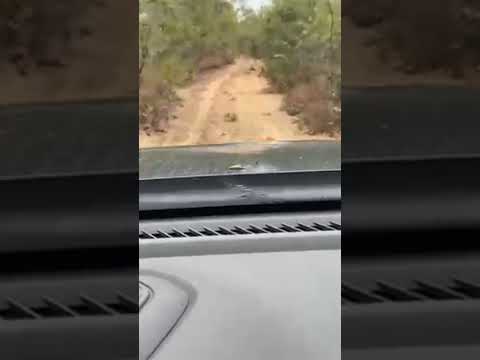 Fazenda no Tocantins em Lizarda e com Novo Acordo.Área Bruta Dupla Aptidão.São 383 alqueires