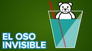 El oso que se hace invisible  Experimento de cienc