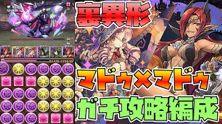 【パズドラ】裏異形ハロウィンマドゥ超安定ガチ編成【最強耐久力】