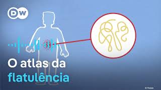 Miniatura do vídeo