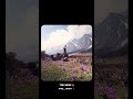 Ek Saril Ek Mann Hoigi Teru Meru Narendra Singh Negi Old Garhwali Song Status Ll Gadwali Song Status