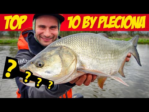 Jaki wobler na bolenia? Najlepsze woblery boleniowe - TOP 10