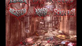 TO DECAY-Gore Soaked Fornication