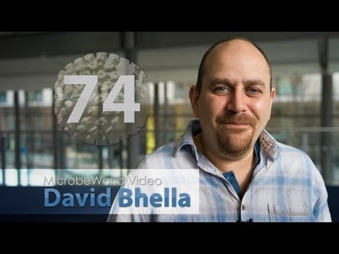 MWV Episode 74 - David Bhella - Electron-cryomicroscopy