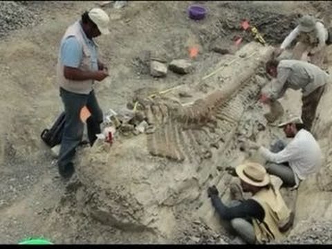 Archaeology dig reveals preserved dinosaur