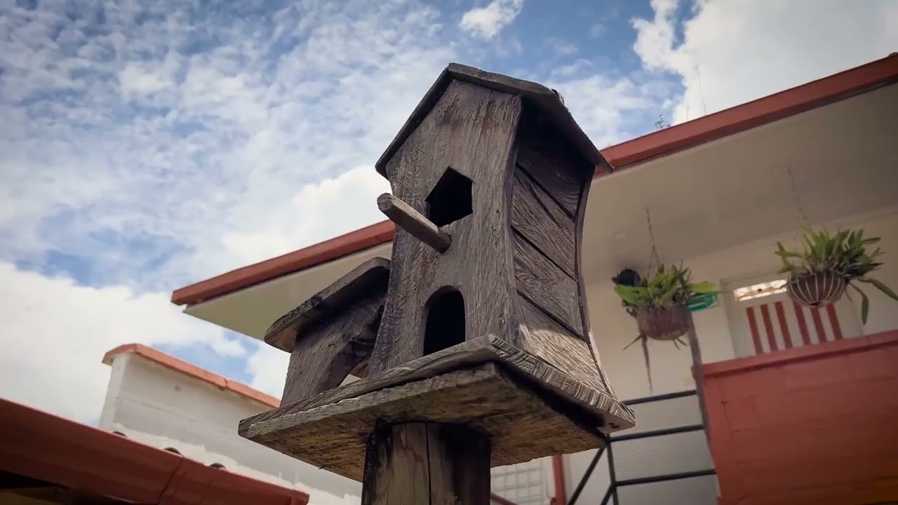 Urrao Paraíso Vivo - Click to play