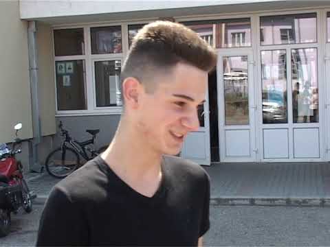 Prva harmonika Srbije, Boris Milić iz Grdelice