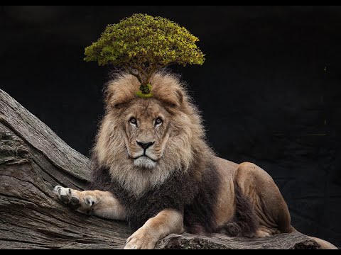 Objekte in Gimp2.20 einfach Ausschneiden und Freistellen einfach erklärt  |Gimp2.20 Tutorial deutsch