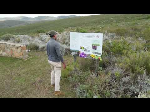 Be immersed in Haarwegskloof