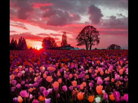 Urapeful - Open Your Feeling (Original Mix)