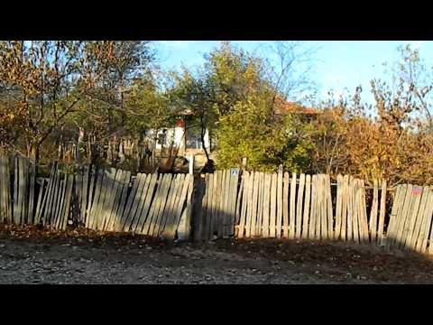 Strazi Romania, AVEM STRAZI LA SATE BOTEZATE SI ETICHETATE 1