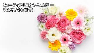 名探偵コナン&金田一少年の事件簿 めぐりあう2人の名探偵　実況プレイ 20