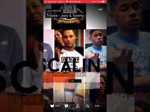 Trillzee - Joey and tommy