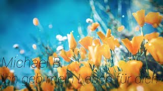 Fantasy - Ich geb mein Leben für dich Michael B. Cover