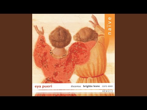 Annus novus in gaudio