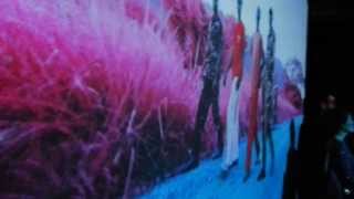 Richard Mosse "The Enclave" at RHA Gallery, Dublin