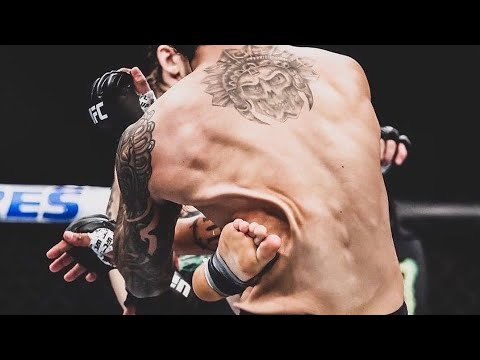 Best Taekwondo Knockouts KO in UFC