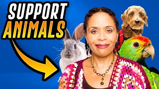 What Does an Emotional Support Animal Really Do?