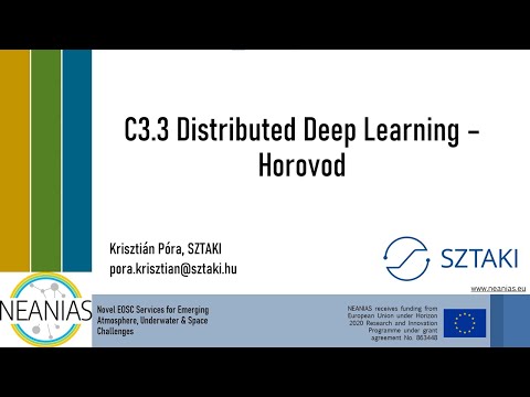 NEANIAS Core. Distributed Deep Learning by Horovod
