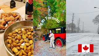 ≪Canada Vlog🇨🇦≫トロントで過ごす12月