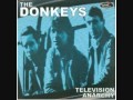 Donkeys - Western Education