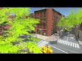 Vídeo de jogabilidade de Supermarket Simulator  Todas as Plataformas