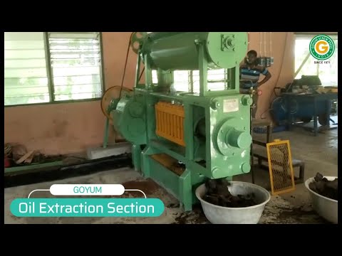 Mini Baobab Oil Extraction Plant Installed on Turnkey Basis in Ghana by Goyum Screw Press