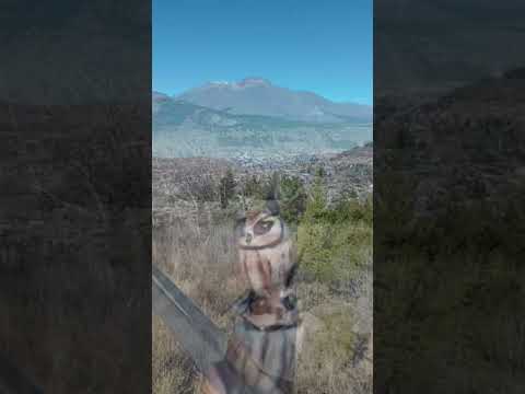 Lechuza_viajera_fieltro_esquel_chubut #artetextil #needlefelting #lechuza #esquel #chubut -viajes