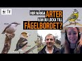 Hur Många Arter Kan Du Locka Till Fågelbordet WWF TV