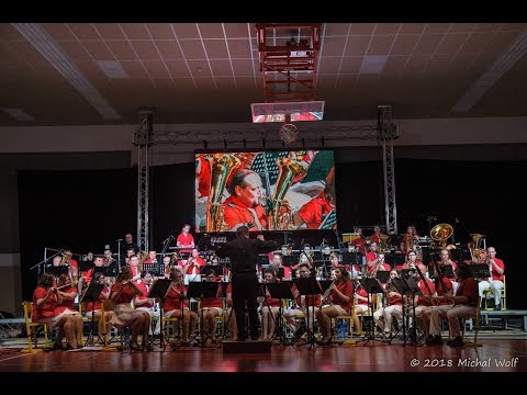 Music for a Darkened Theatre - Danny Elfman/arr. Michael Brown - DO ZUŠ Němčice n. H.