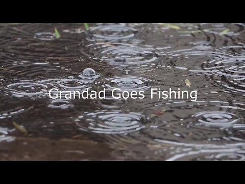 Locslide Float - Float Ledgering - Slider Float