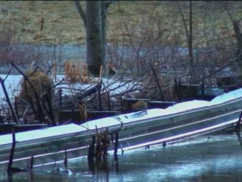 Grant Rd Flooding - Newmarket, NH 02/26/2010