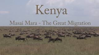 Masai Mara The Wildlife Collection