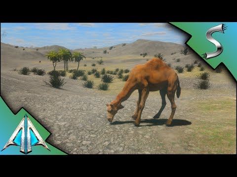 TRAVELLING TO THE DESERT! CAMEL TAMING AND CRAZY AXE WIELDING ENEMIES! - Animallica [Gameplay E6]