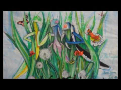 Carnevale di Viareggio 2011 - L'erba di casa mia (video presentazione)