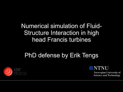 PhD defense at NTNU - Erik Tengs, EDRMedeso 2019