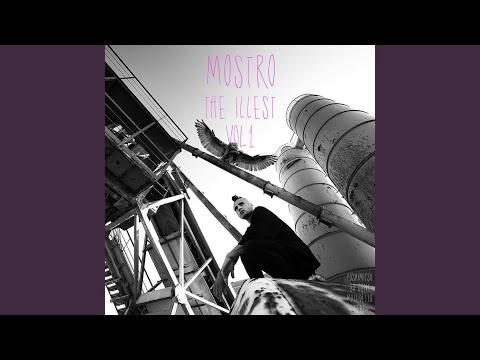 Lo giuro solennemente