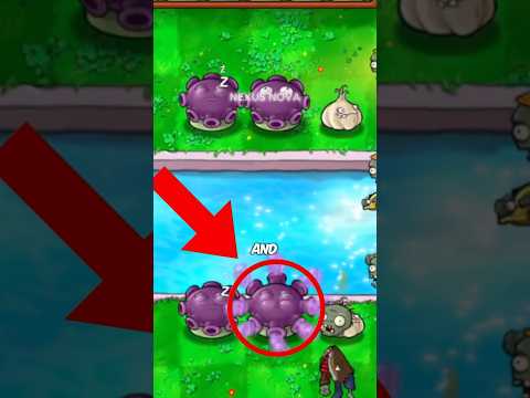 The best strategy in PvZ is not what you think