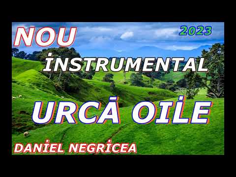 █▬█ █ ▀█▀-2023- CEA MAI FRUMOASA MELODIE DE OITE-DANIEL NEGRICEA [DOMN PROFESOR DANCIU]