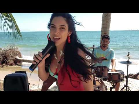 Illy - Árvore e Camelô