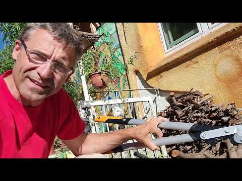 🏆 3x Beste Astschere FISCARS PowerGearX LX99 Amboss-Getriebeastschere