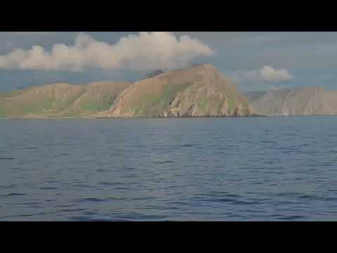 Colours of nature https://youtube.com/@TanzeelKhan-hm6hh