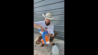 How to Get Rid of Wasps at Home