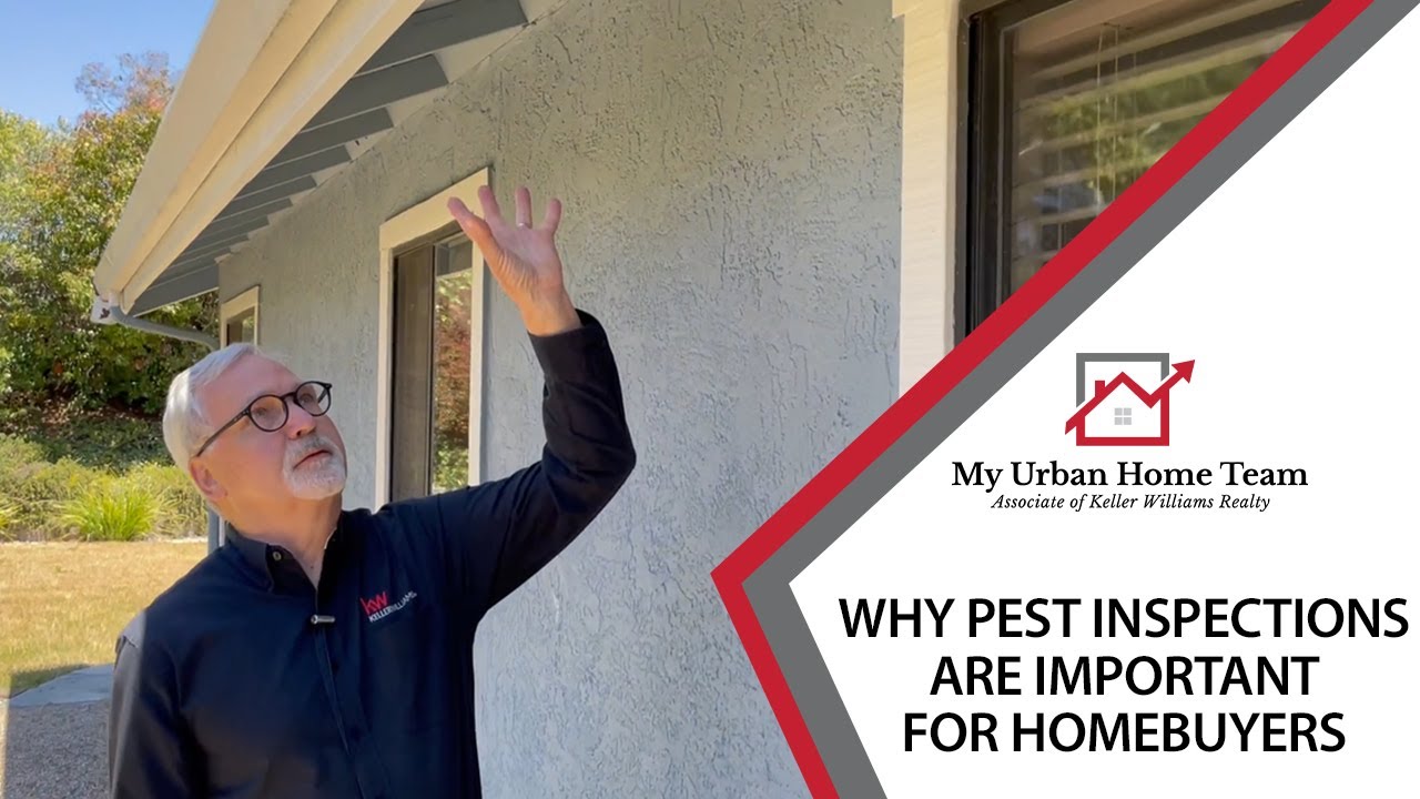 Why Pest Inspections Are Important When Buying a Home