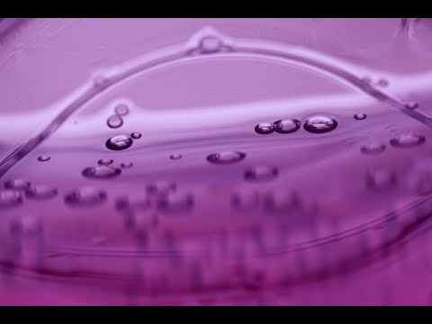 Mass Transfer Principles for Gas Liquid Vapor Liquid Unit Operations Trailer