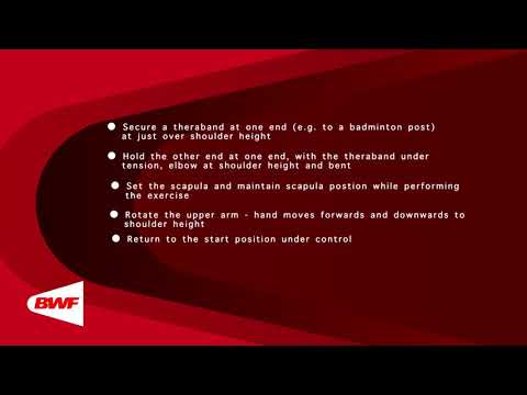 CE2M8V61 Theraband Exercises - Internal Rotation (Arm at Shoulder Height)