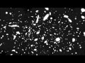 Zucklar Intro